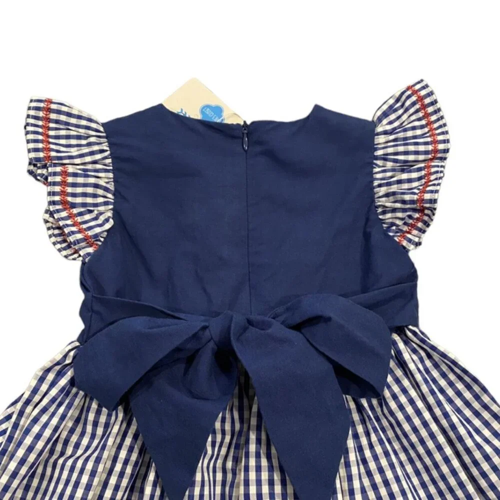 NEW Evie's Closet 3T Blue Gingham Apple Dress